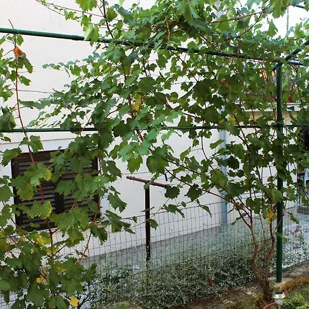 Appartamento Novigrad 2536b *