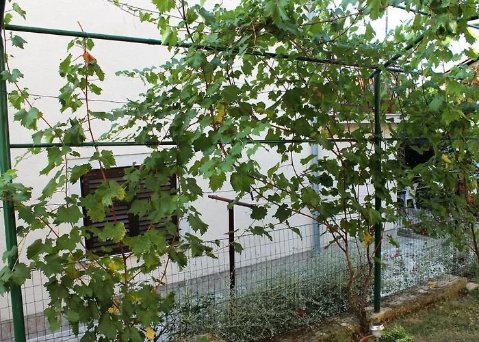 Διαμέρισμα Novigrad 2536b *