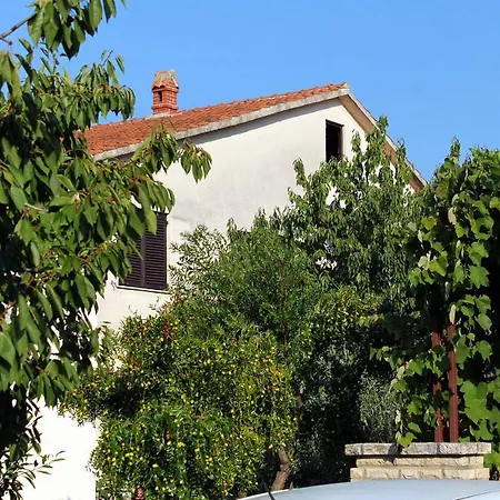 Daire Novigrad 2536b *